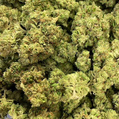 Toxic Kool Aid (REC)