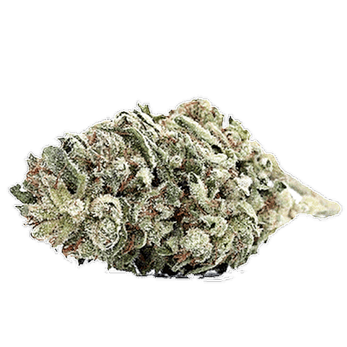Banana OG by King’s View Farms