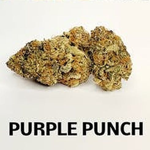 PURPLE PUNCH