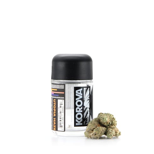 Utopia Haze
