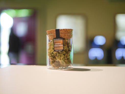 Animal Crackers by Burnwell