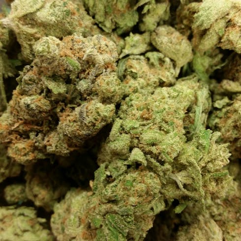 Skywalker OG (TAX INCLUDED)