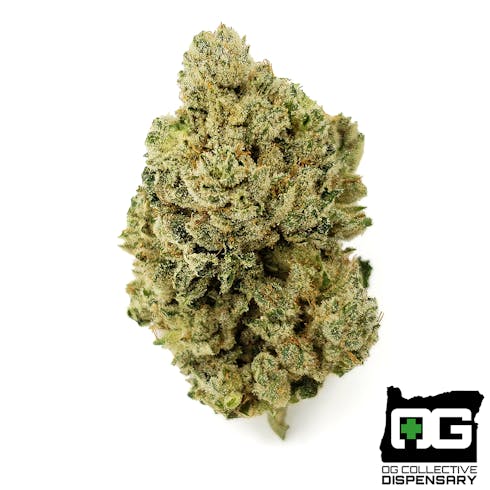HEADBAND from HEROES OF THE FARM