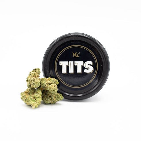 WCC T.I.T.S