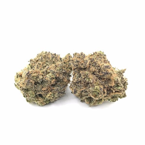 Guicy Banger | Grown by 45th Latitude