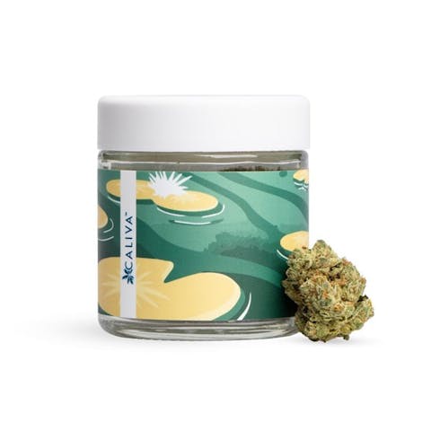 Sour D x Lemon Kush
