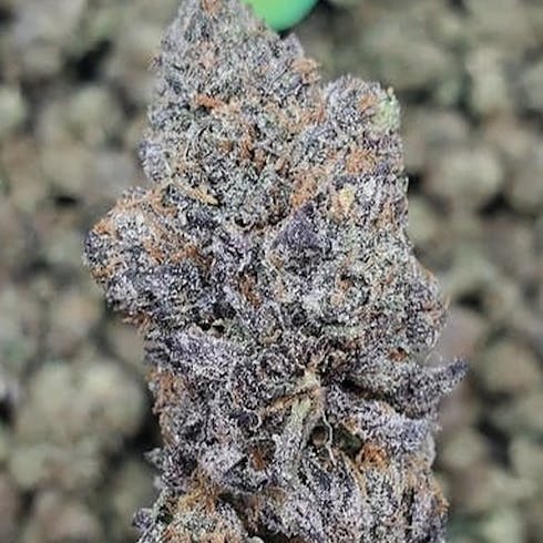 Peanut Butter Breath (Tax Included)