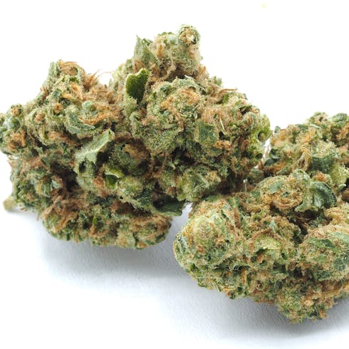 Golden Cookies Sungrown by Talking Trees Farms