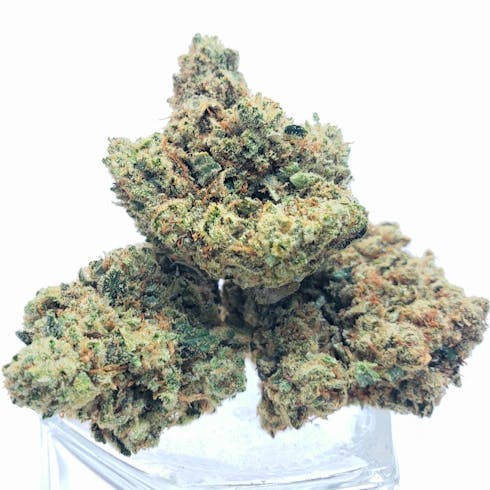 SFV OG