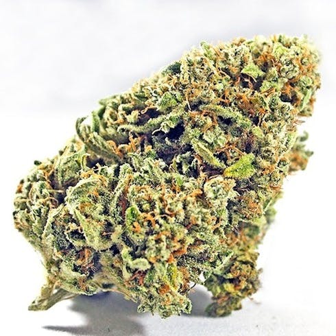 Ghost Train Haze | 20.6% | Verano