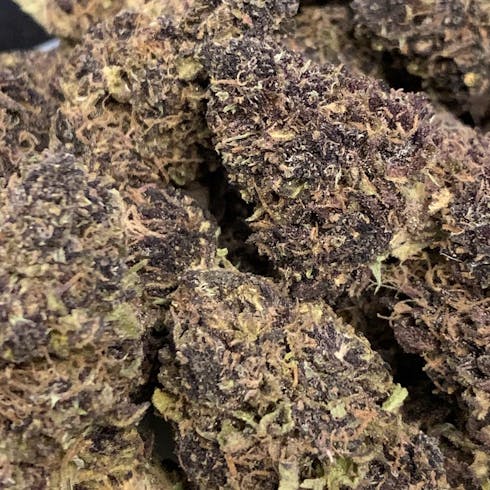 Oregon Treasure