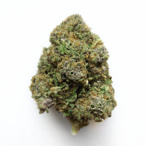 Hindu Kush by Snodgrass Family Farms
