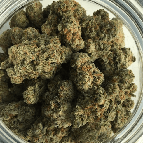 $160oz- Maria's Cookies (Burk Brothers)