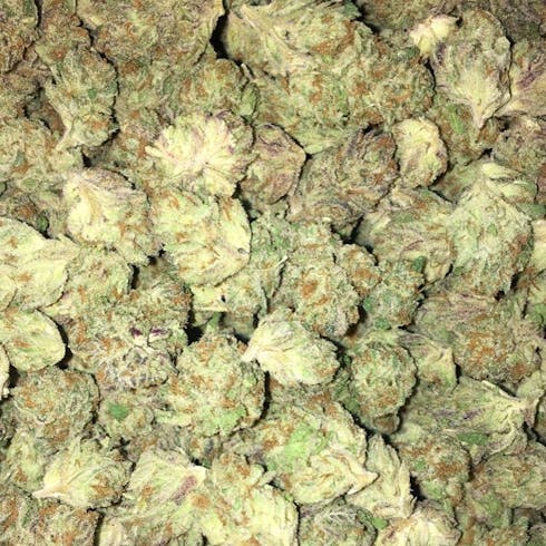 Tangie ~ Sativa