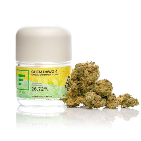 FadeCo Chem Dawg 4