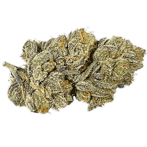 White Buffalo by Potters