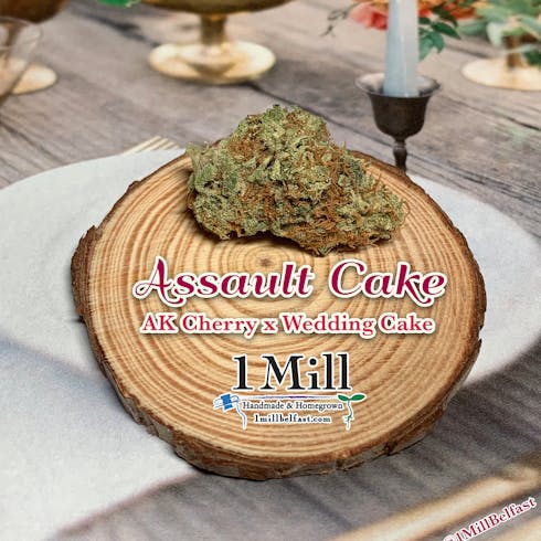 Assault Cake