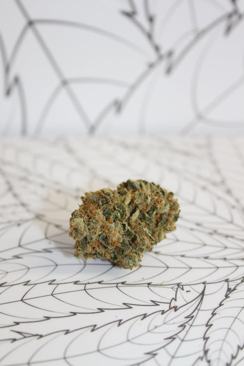 Wellness Factory Strawberry Banana Bulk