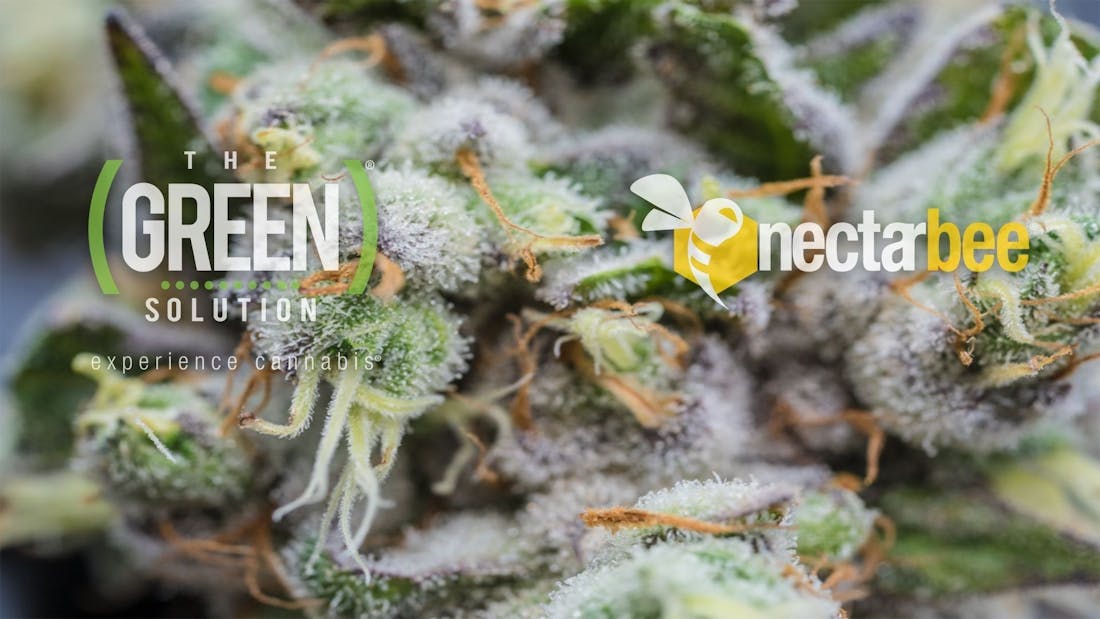 The Green Solution - S Main St @ Longmont