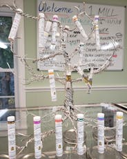 Our Own Pure Distillate 1/2g carts