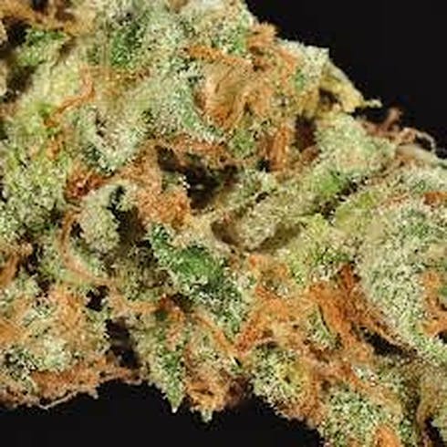 Golden Goat