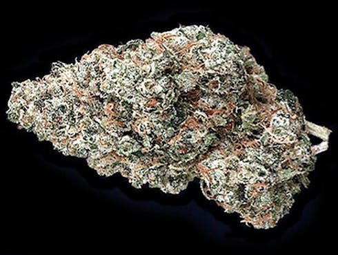 Chemodo Dragon - 21.90% THC