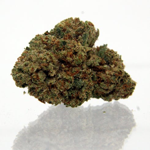 Headband - Gram (1.0g) - Ripped City Gardens