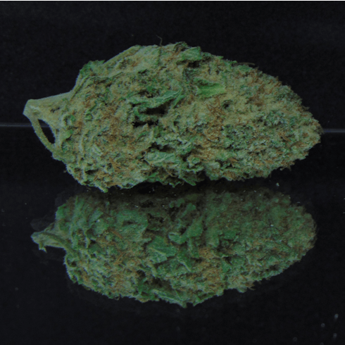Blackberry Fire (Blackberry Kush X Fire Lady) *Indica Hybrid