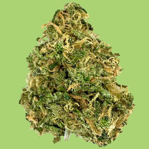 Golden Pineapple