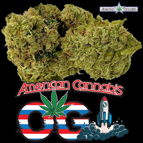 American Cannabis OG Kush