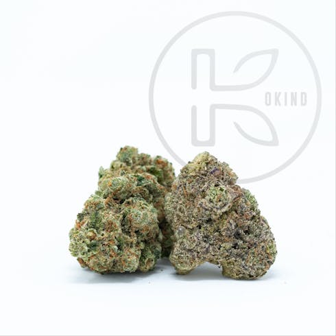 Gelato | IdH