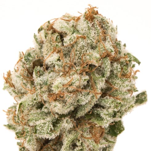 STRAWBERRY BANANA (70%/30%) I/H