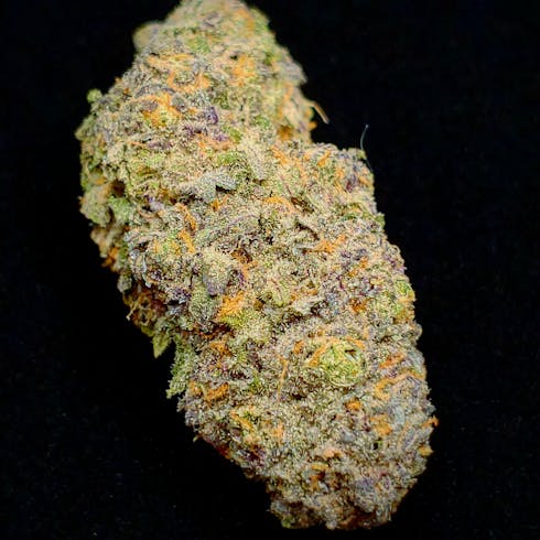 Papaya Punch