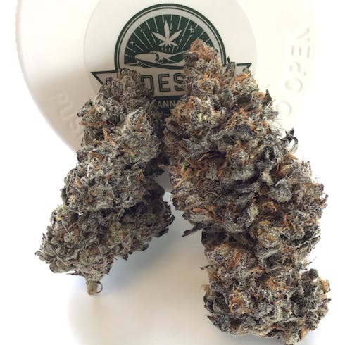 Peanut Butter Breath