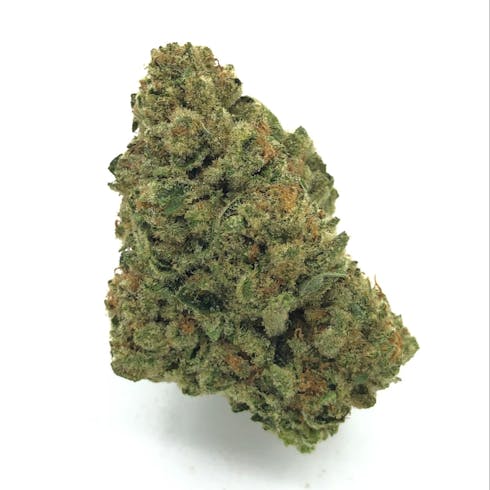Orange Push Pop by Rolen Stone Farms