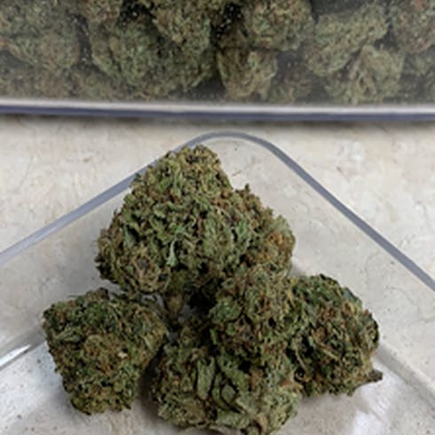 Forbidden Fruit