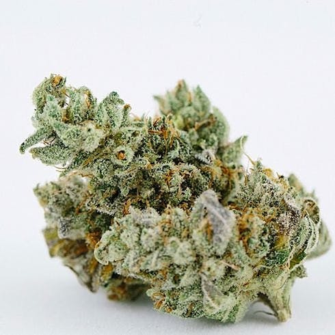 Original Glue (f.k.a. GG4) Flower