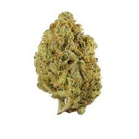 Gold Tier I Super Lemon Haze
