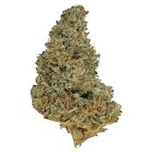 MED: Monkey Train - Phantom Farms