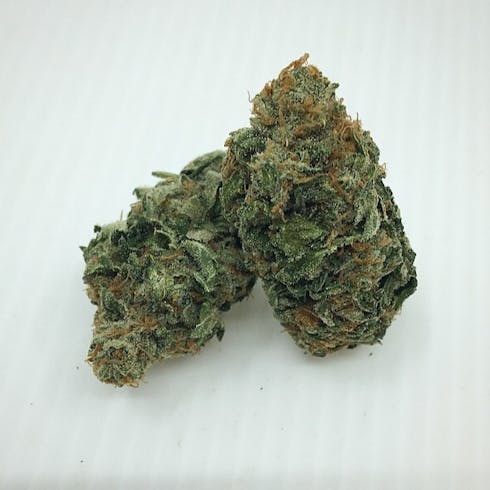 Grandmas Skunk