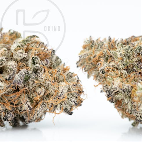 Mint Chocolate Chip | 50/50