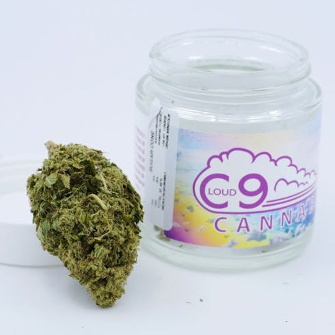 3.5g -Sugar Cone (Hybrid) - Cloud9 Cannabis
