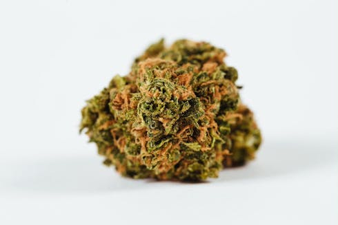 (ABUNDANT ORGANICS) Blue Blitz - Mid Tier