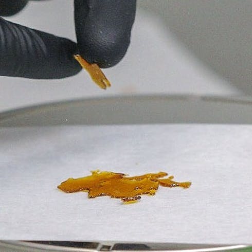 Monday Driver (Shatter)