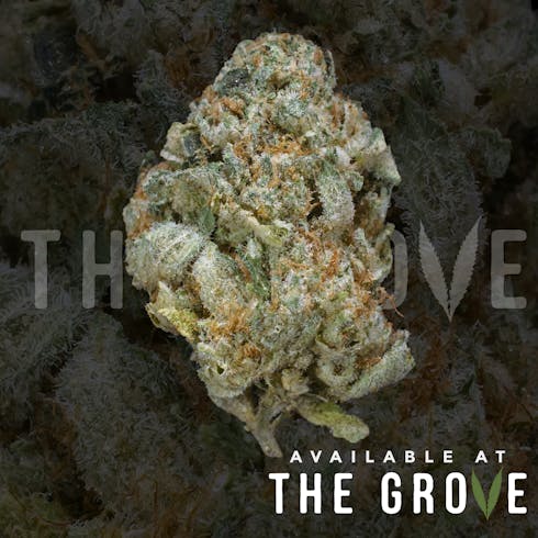 $65 1/8ths: wifi cookies by Cannabis Brothers