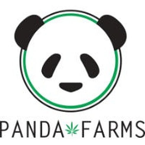 Original Glue (f.k.a. GG4) | Panda Farms