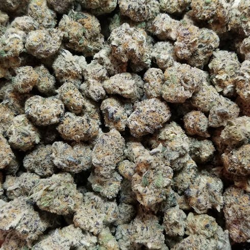 Meat Breath