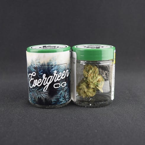 Evergreen OG - Phat Panda