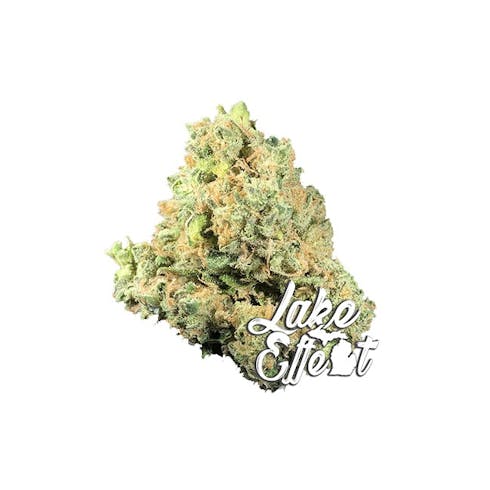 (CC) Ghost Dawg - 15.56%
