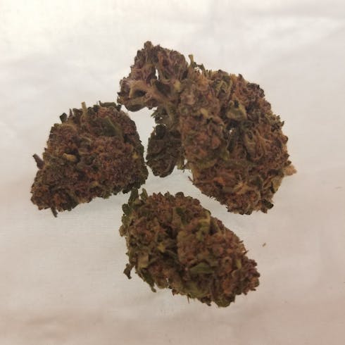 Purple Hindu Kush